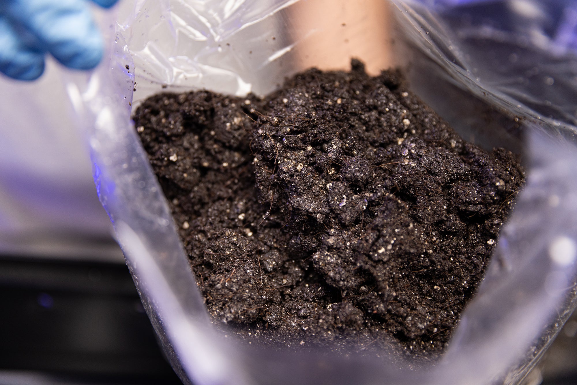 CVG COCO • VERMICULITE • GYPSUM Sterile Bulk Substrate