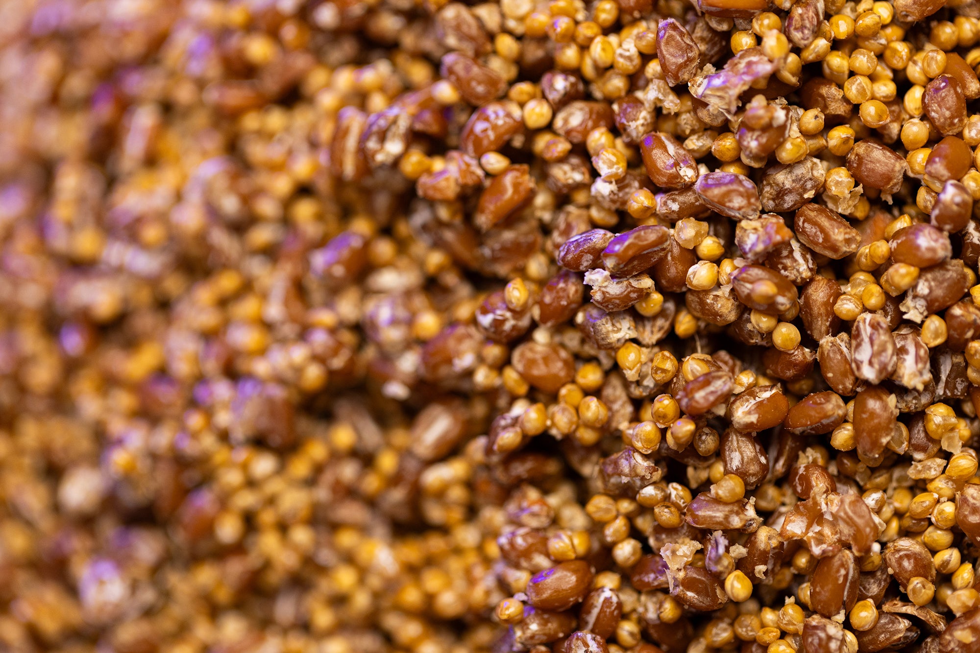 OPTIMA Organic Grain Bag - Sterilized with Injection Port