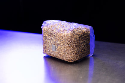 OPTIMA Organic Grain Bag - Sterilized with Injection Port