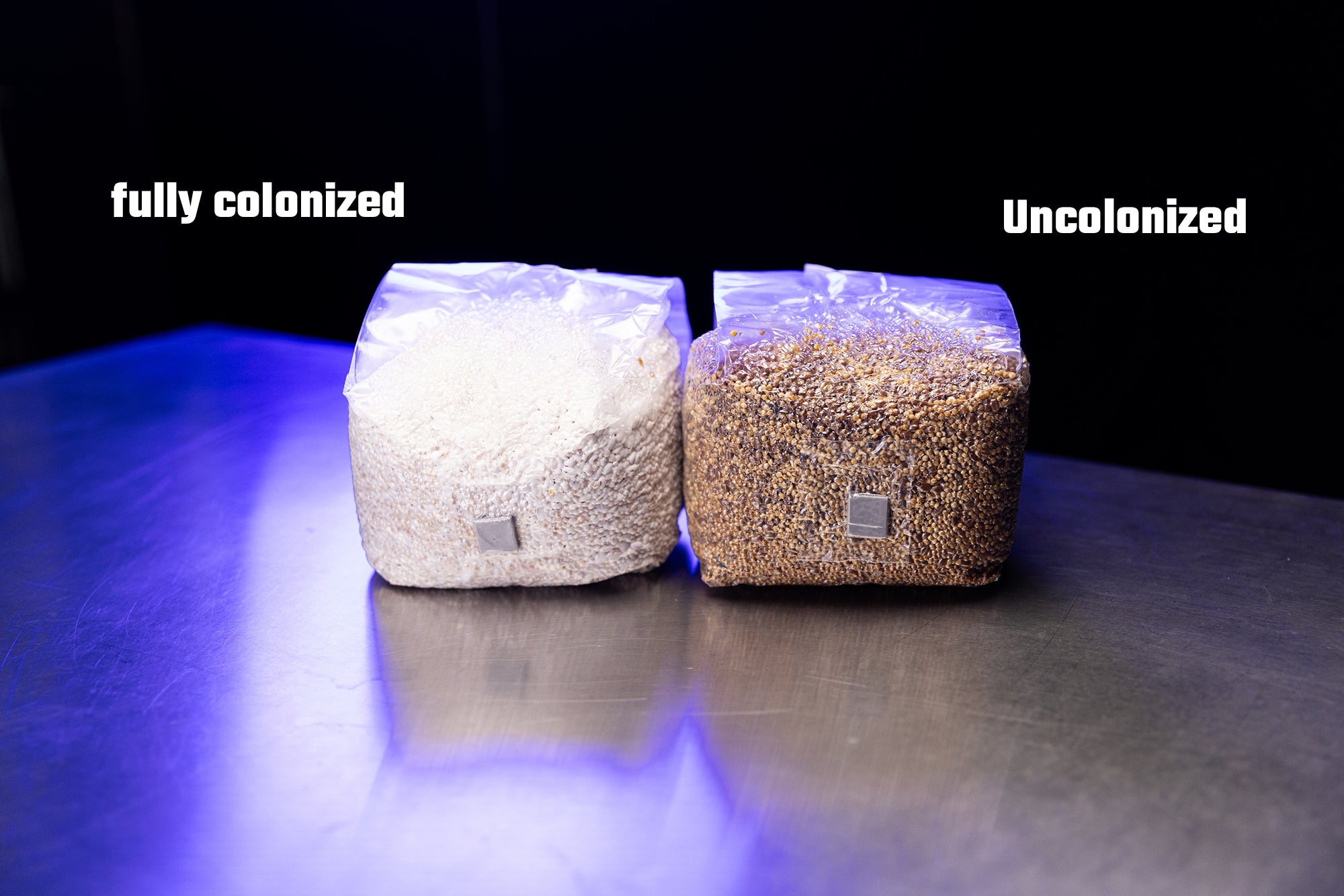 OPTIMA Organic Grain Bag - Sterilized with Injection Port