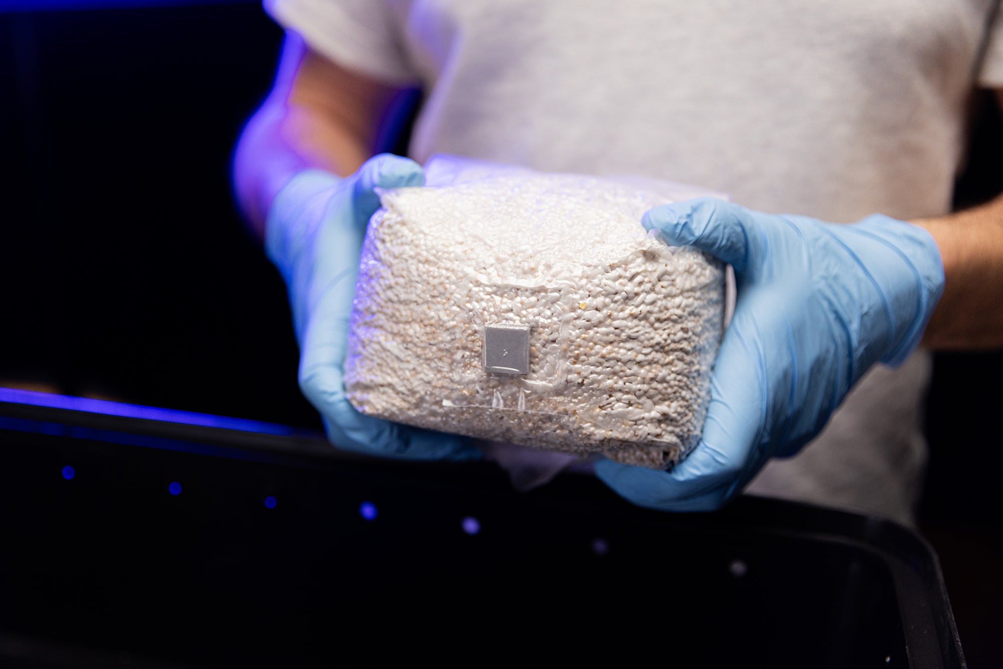 OPTIMA Organic Grain Bag - Sterilized with Injection Port