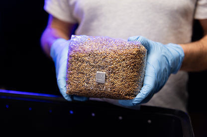 OPTIMA Organic Grain Bag - Sterilized with Injection Port