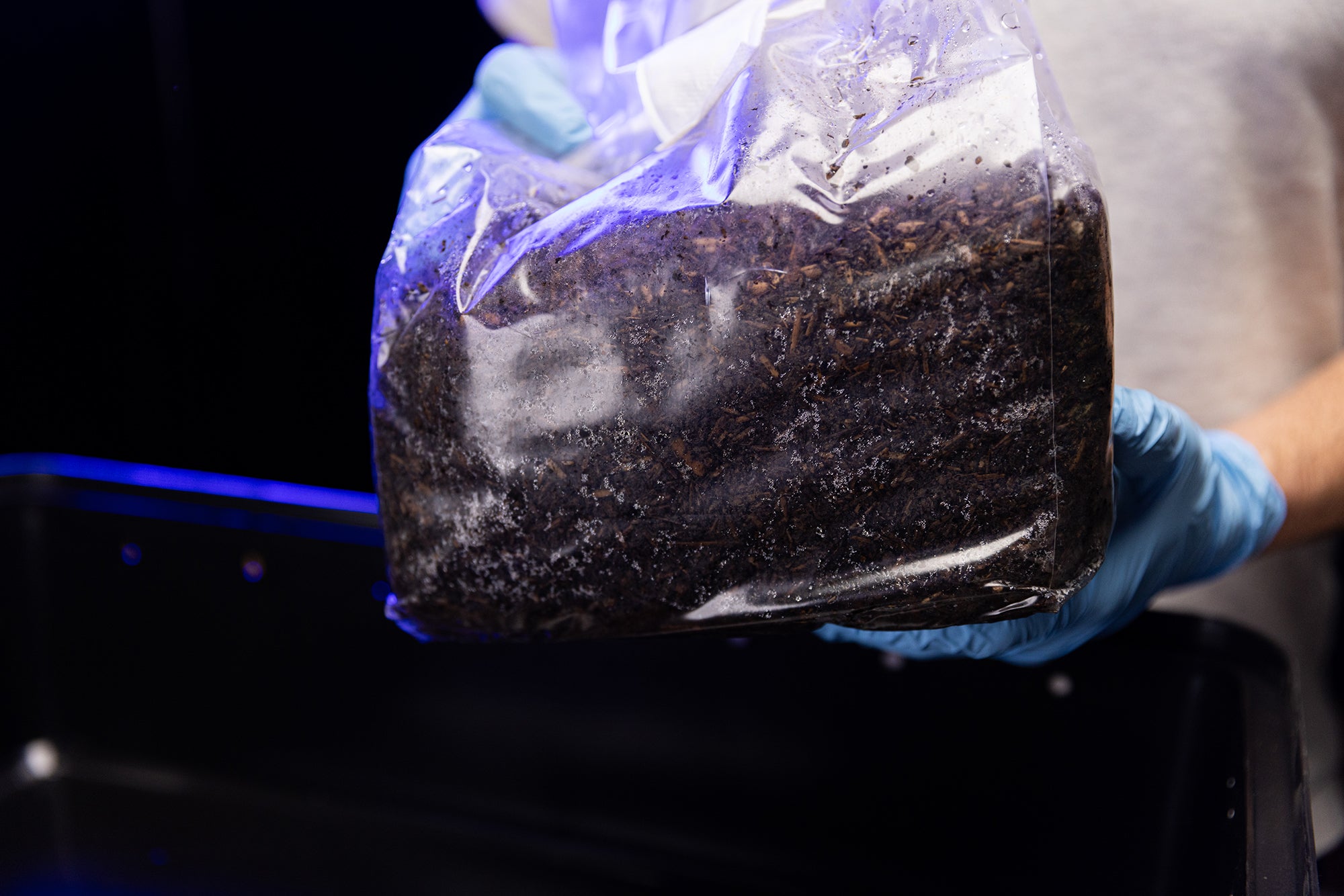 ‘ShiitBag’ Manure-Based Sterile Bulk Substrate