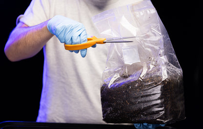 ‘ShiitBag’ Manure-Based Sterile Bulk Substrate