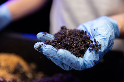 CVG COCO • VERMICULITE • GYPSUM Sterile Bulk Substrate