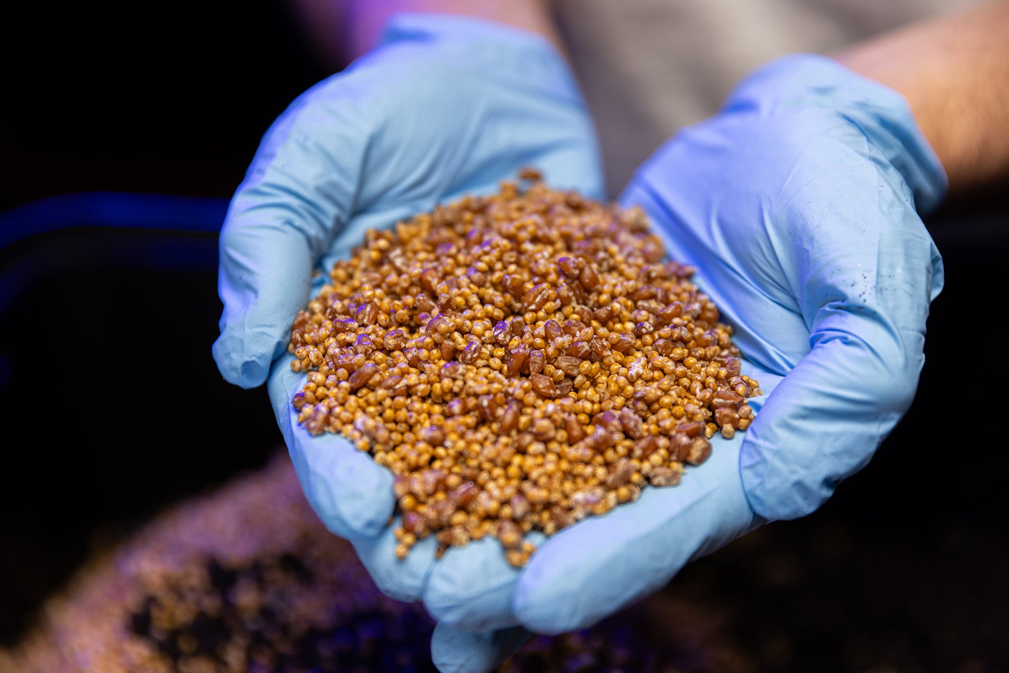 OPTIMA Organic Grain Bag - Sterilized with Injection Port